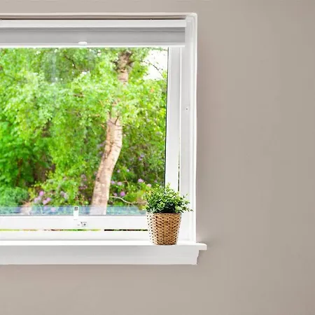 Newly Renovated Apartement! Апартаменты